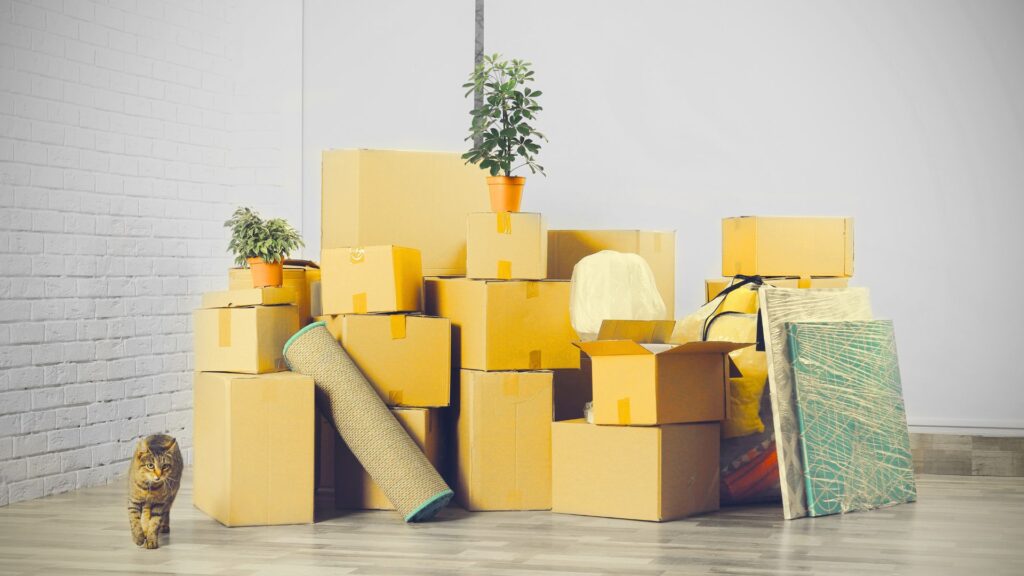 Betriebsauflösung Aachen - Cleanout Aachen - Entrümpelung - Haushaltsauflösung - Betriebsauflösung - Entsorgungen - Transporte - Umzüge - Entrümpelungsfirma